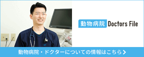 Staff Blog